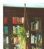 Bibliothek