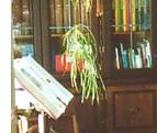 Bibliothek